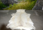 Preview: Weißes Rentierfell „White Powdery Snow“ XXL (160cm) – Luxus Naturfell